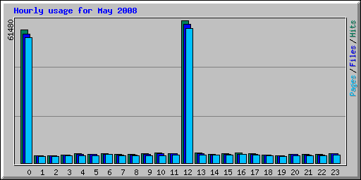 Hourly usage for May 2008