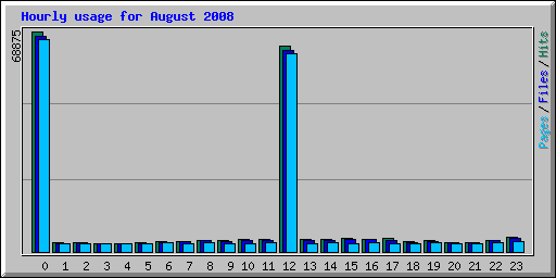Hourly usage for August 2008