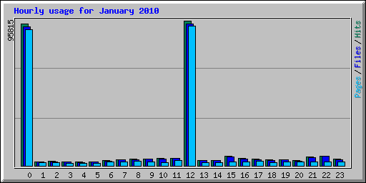 Hourly usage for January 2010