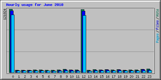 Hourly usage for June 2010