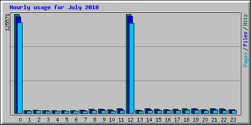 Hourly usage for July 2010