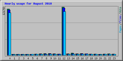Hourly usage for August 2010