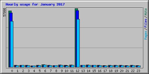 Hourly usage for January 2017